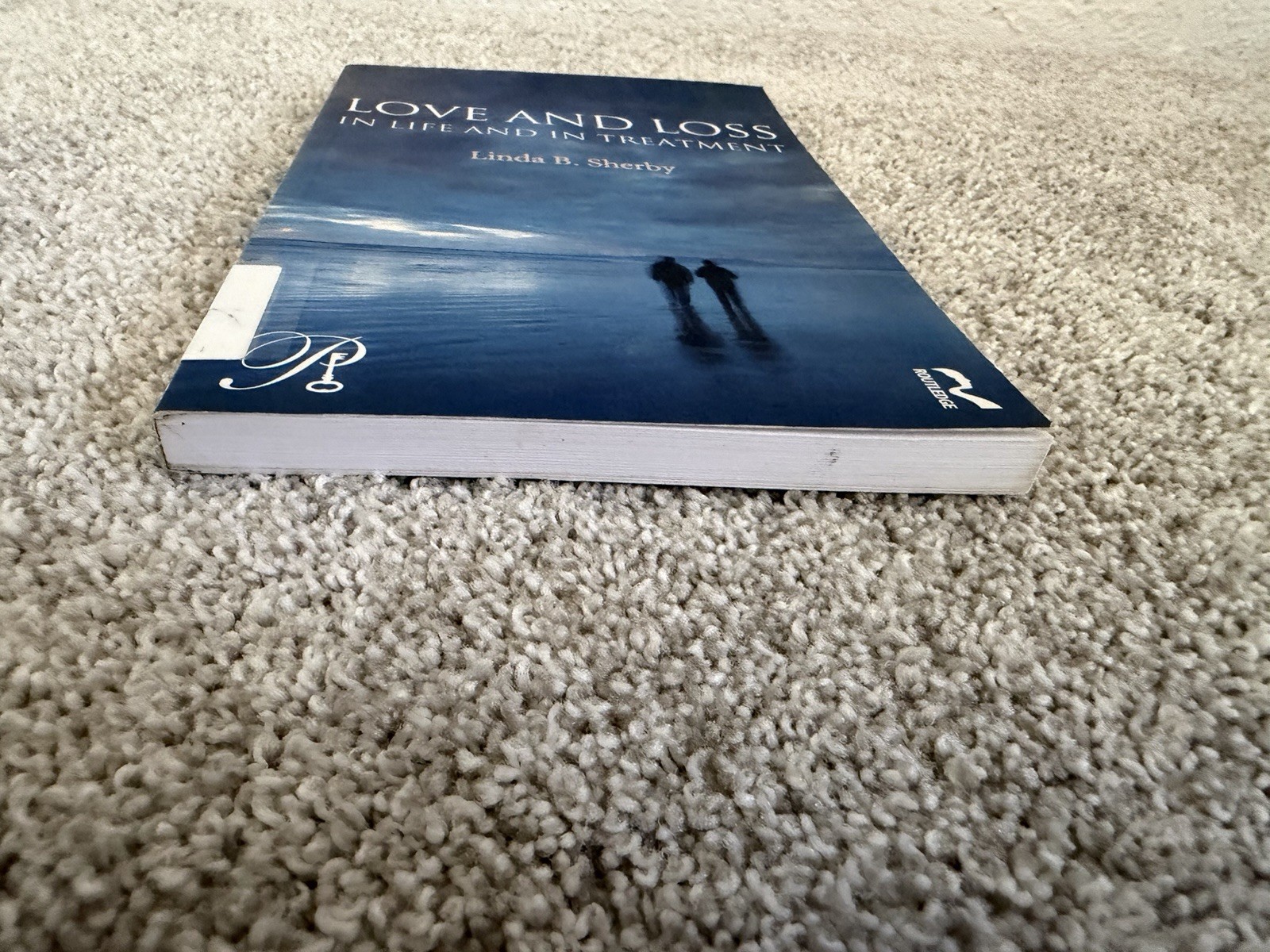 Love and Loss in Life and in Treatment by Linda B Sherby: New