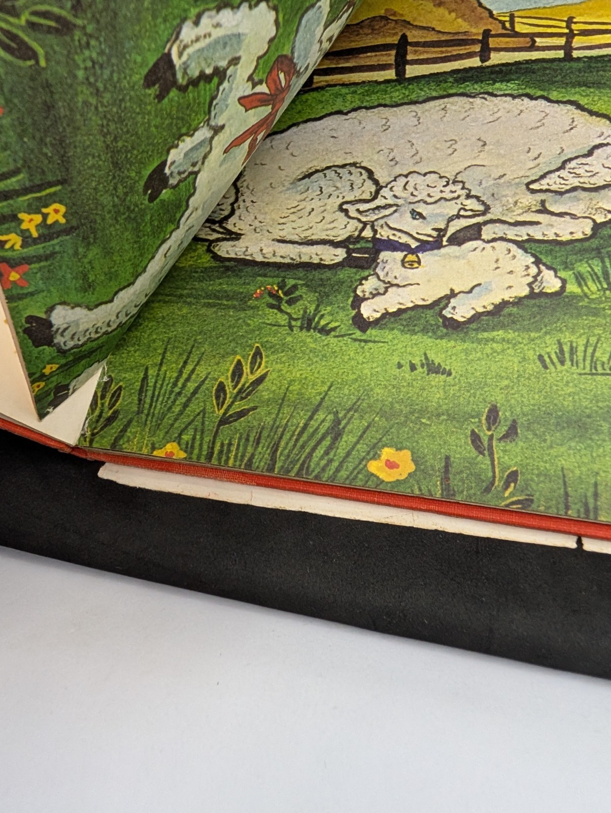 Book Penelope, The Little Lamb by hope Ross Anderson Signed 1964 1st Edition