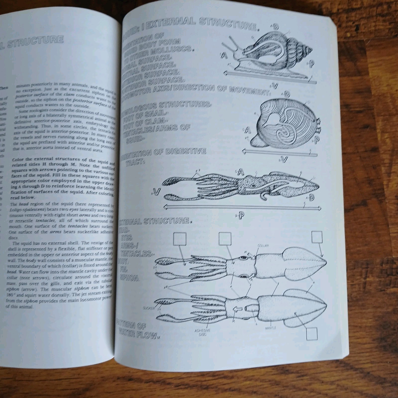 Lot Of 3 Science Coloring Books Biology Anatomy Zoology Vintage