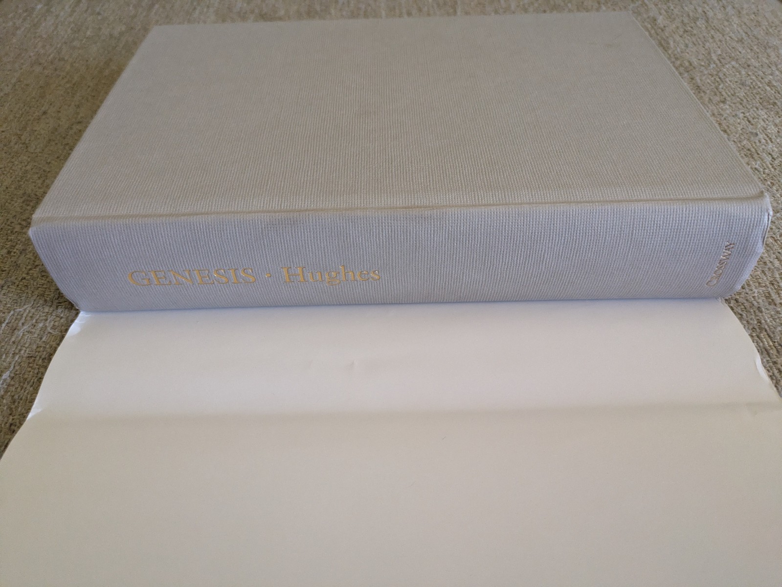 Genesis: Beginning & Blessing | R. Kent Hughes | 2004 HC | PREACHING THE WORD